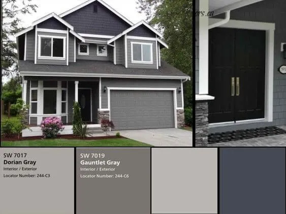 2020 color Trends