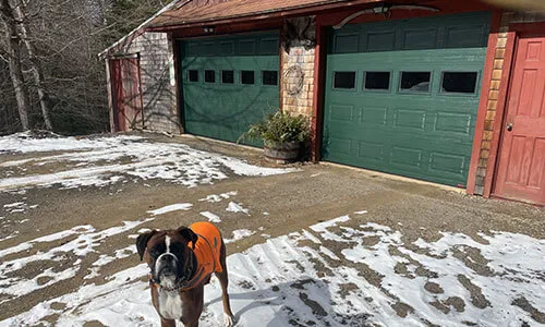 Standard+ Classic CC garage door, 9' x 7', Evergreen, Clear windows