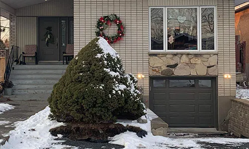 Standard+ MIX garage door, 8' x 6' 3'', Dark Sand, Clear windows