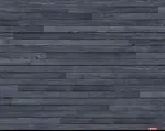 Plank Design